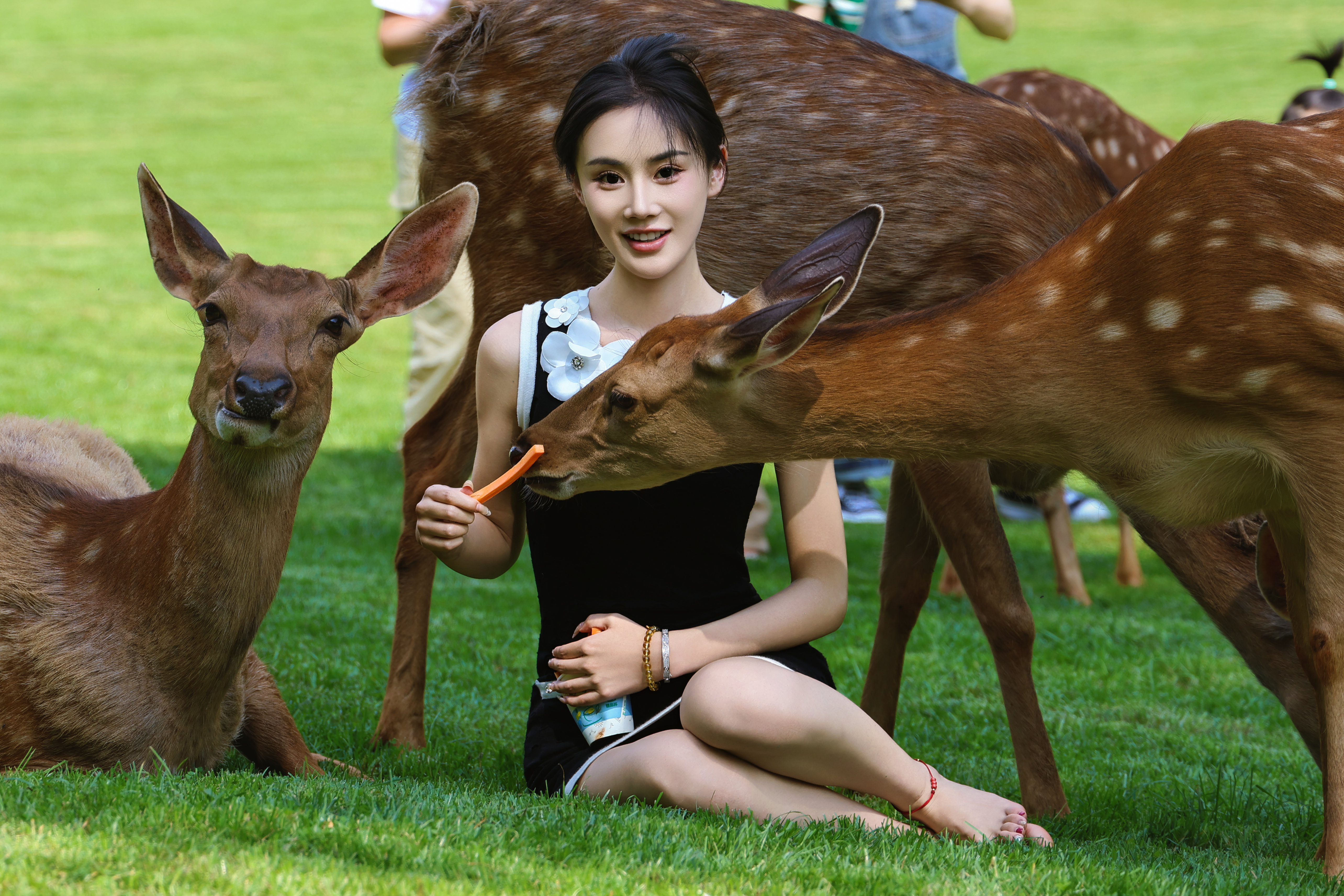 森林简餐